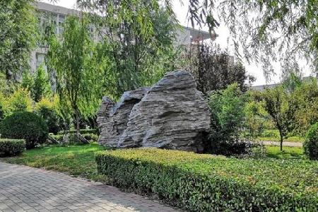 qq_pic_merged_1555335859237